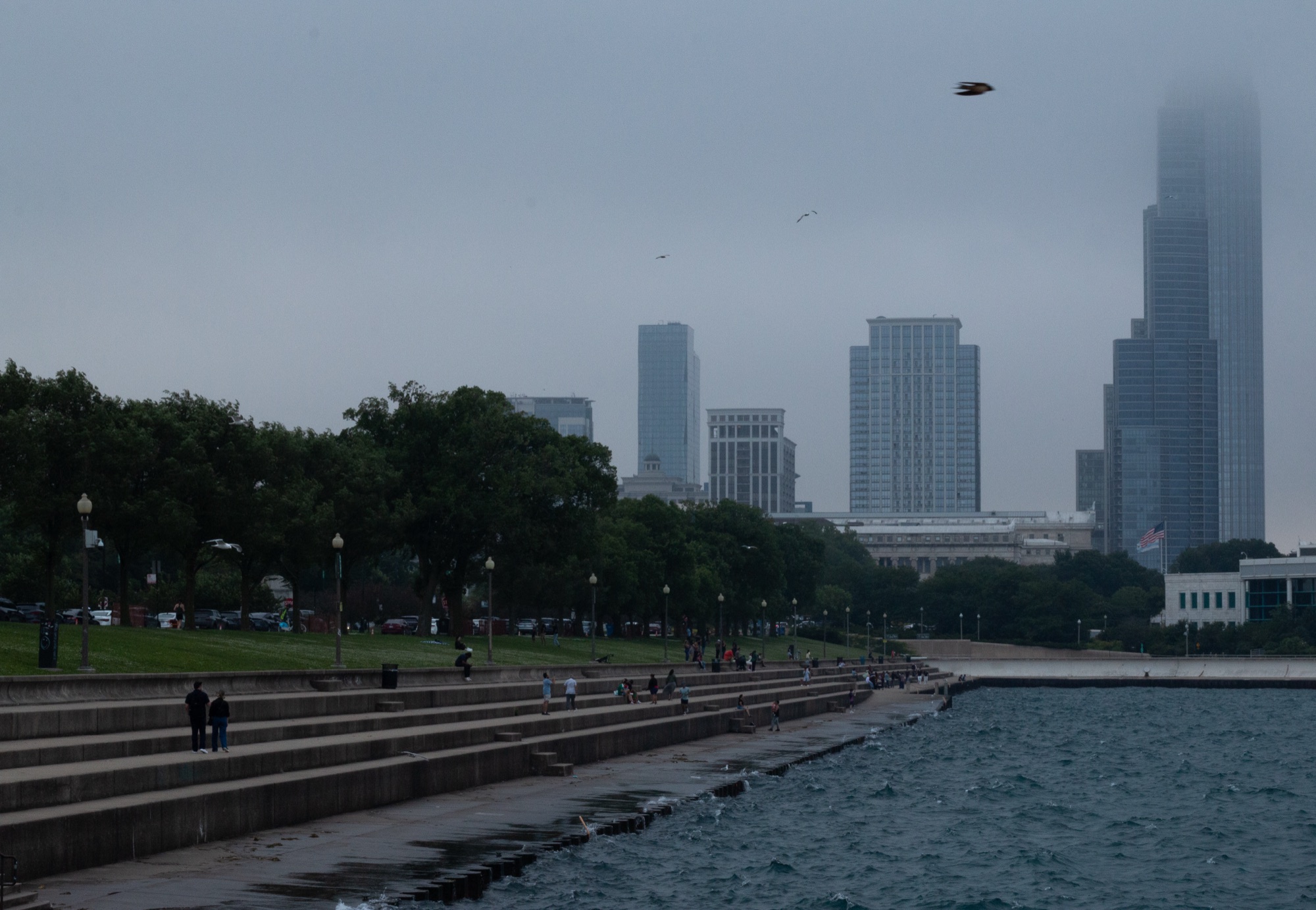 Lakefront steps and parkland along the water, downtown towers behind with their tops in cloud