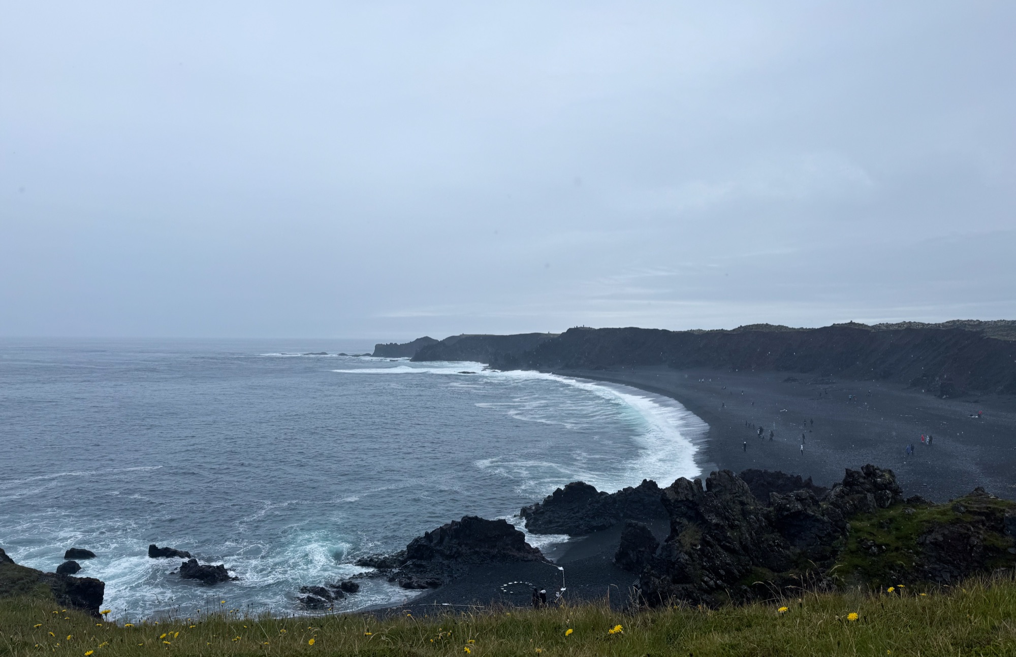 A black sand beach curving away below a grassy clifftop, white surf running along its length under overcast