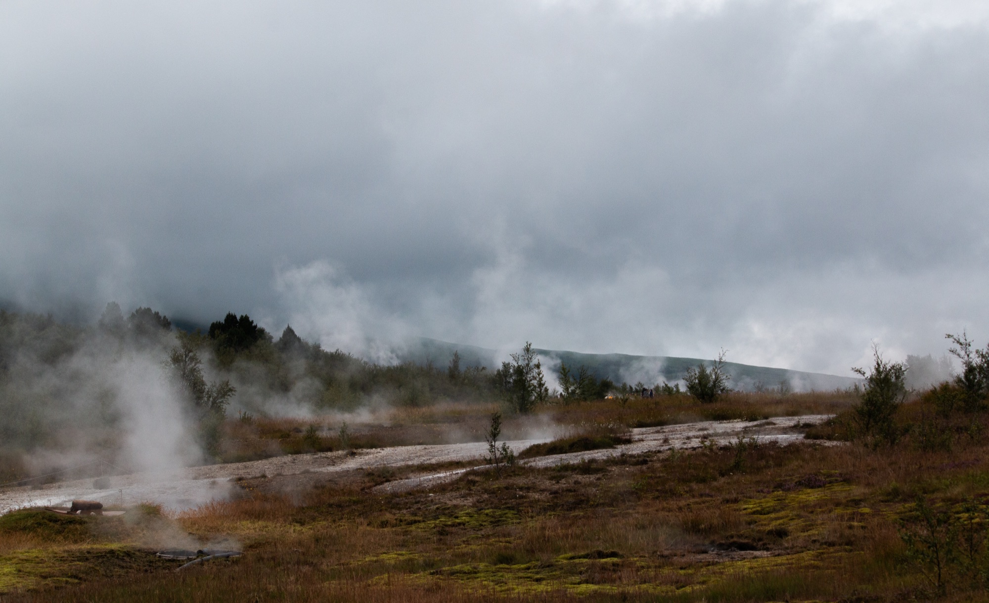 Steam drifting from geothermal vents across a plain of moss and scrub, low cloud pressed down on the hills behind