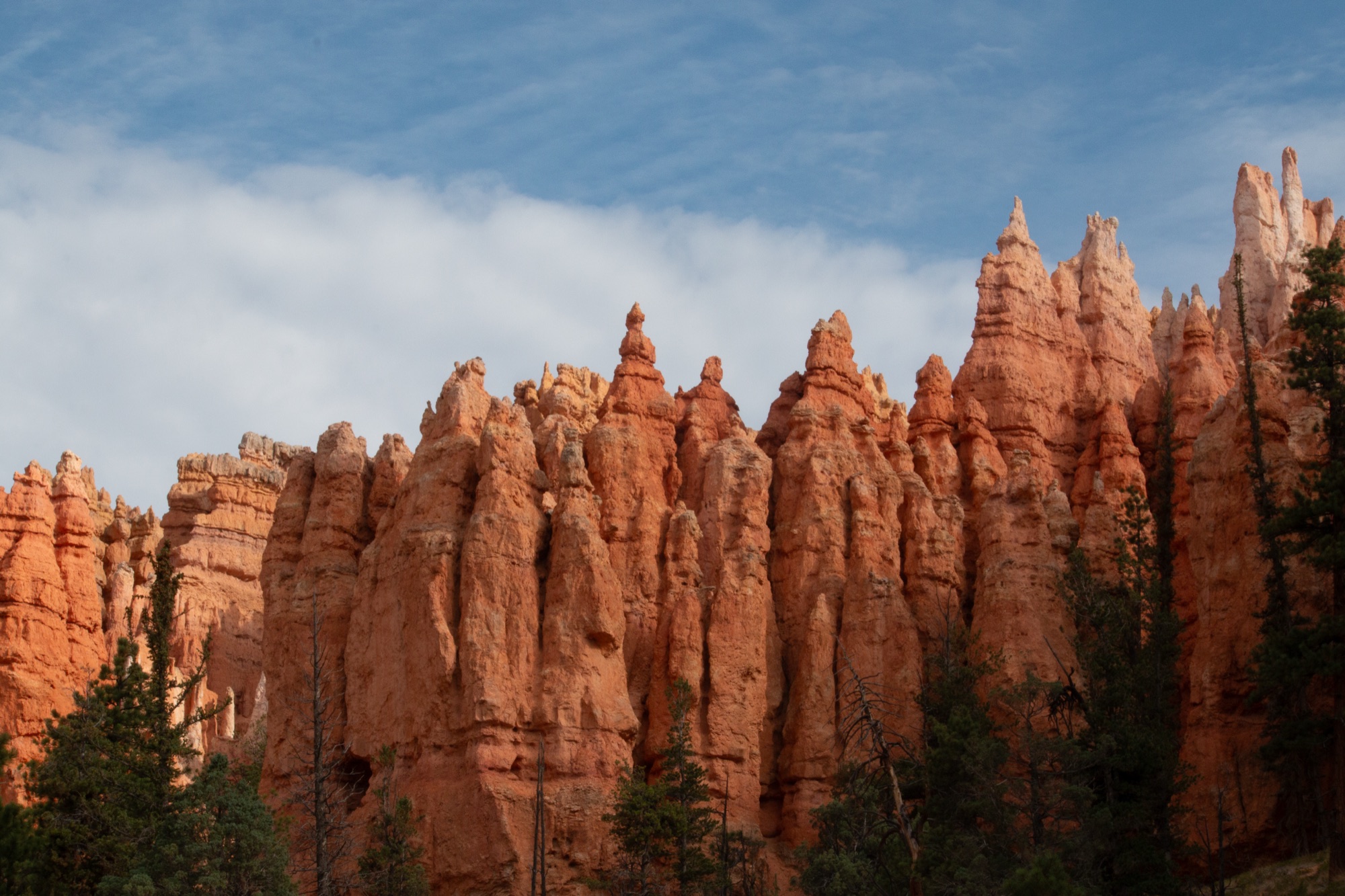 A long ridge of orange hoodoos lit warm by low sun, thin cloud drawn across the blue above