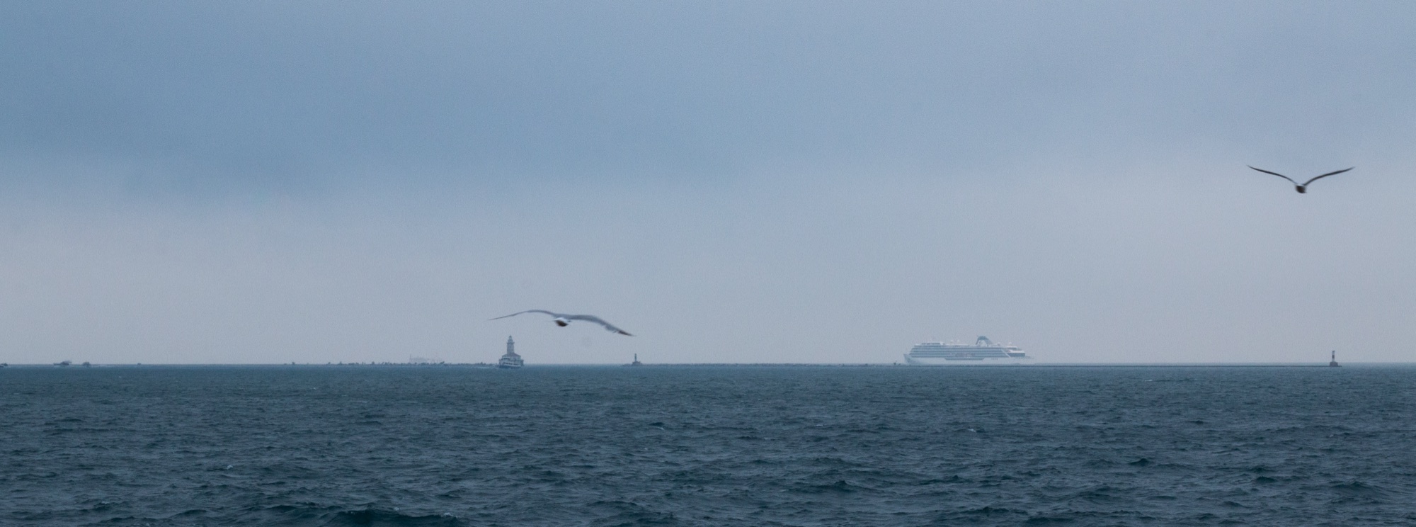 Gulls over grey open water, a distant ship beneath low cloud